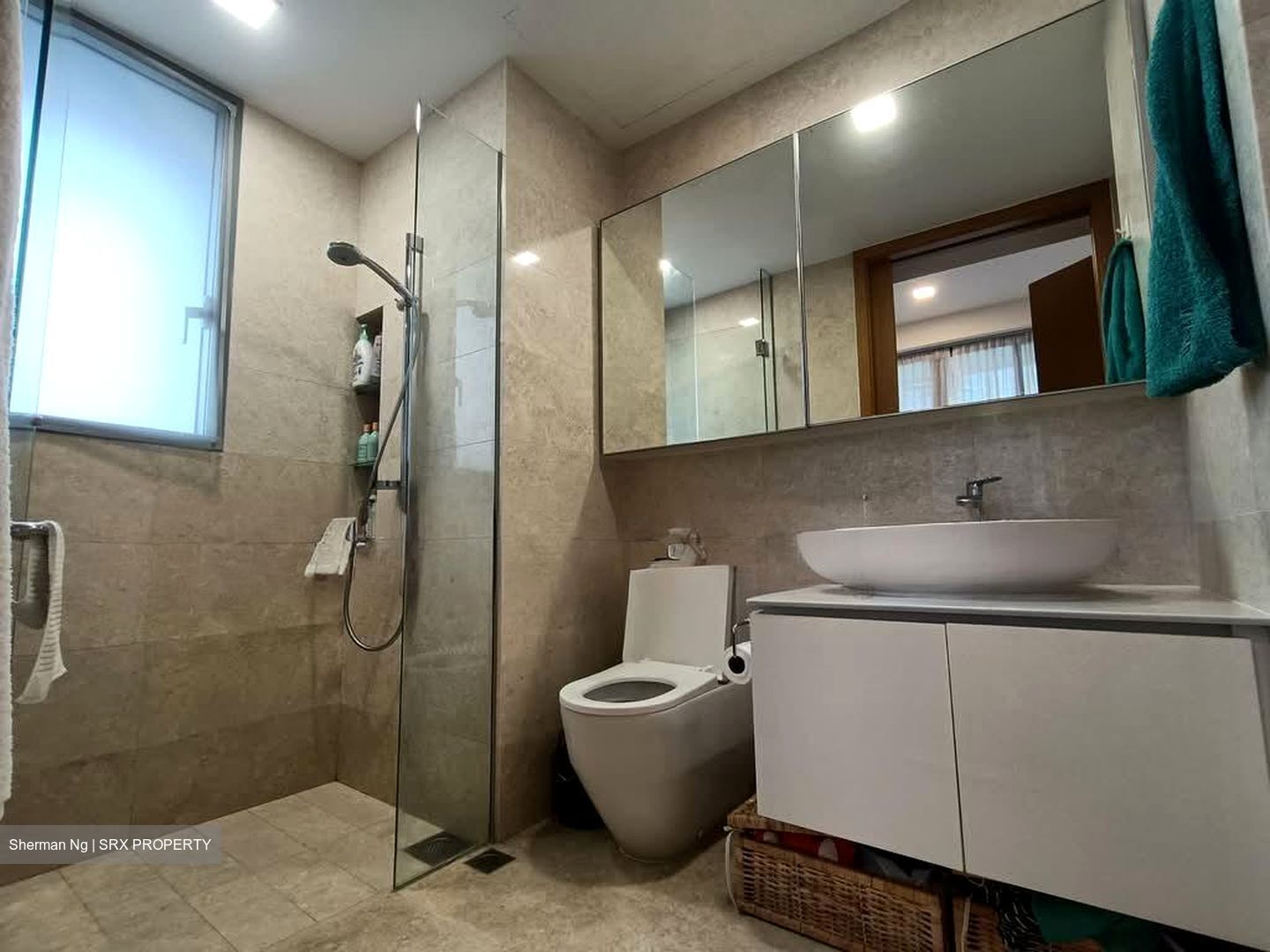 Mon Jervois (D10), Condominium #532893521